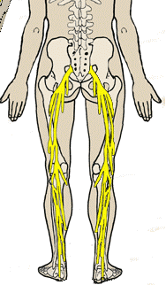 What is Sciatica? | Lisa Barr MD | Barr Center