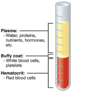 PRP vs Stem Cell | Barr Center