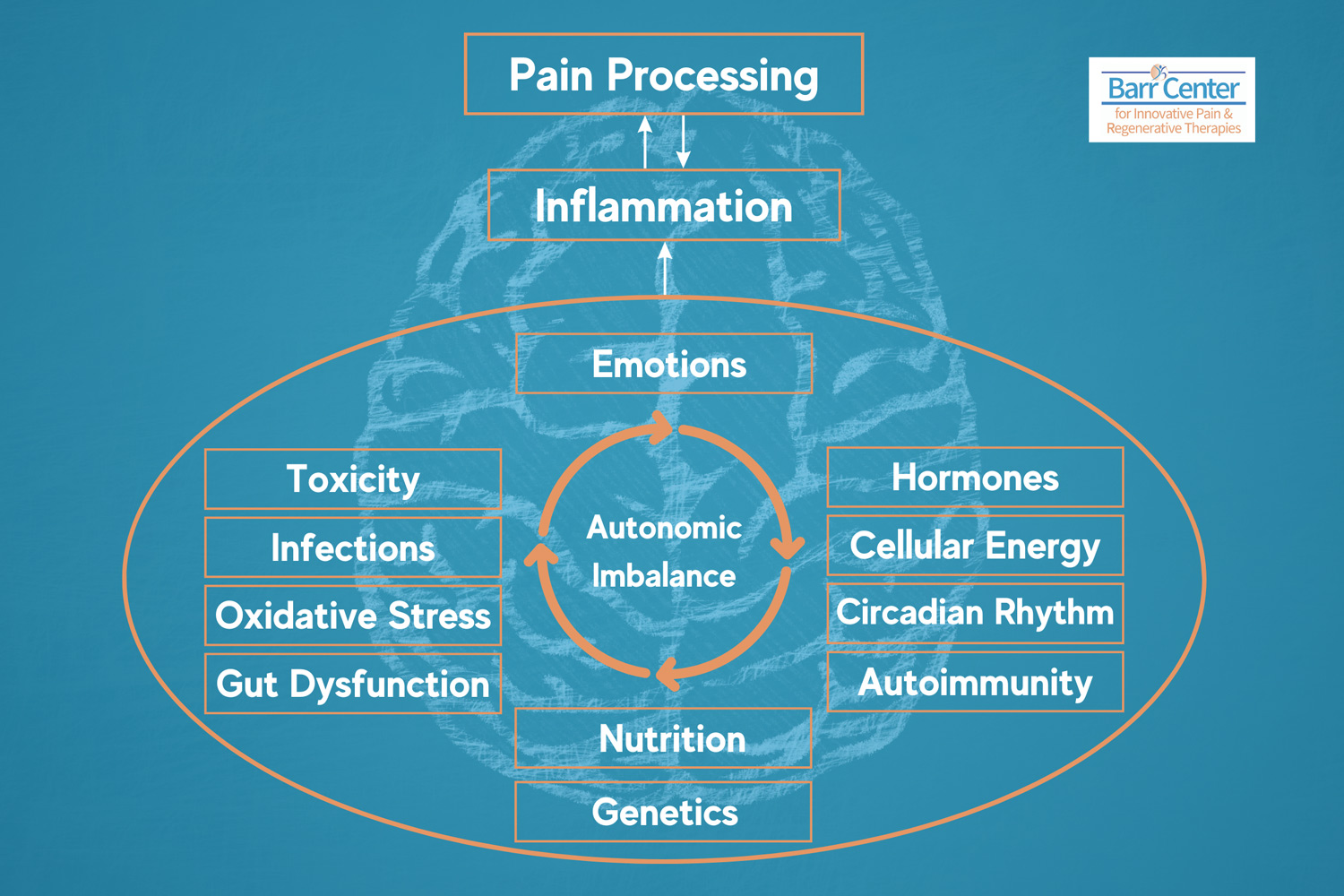 Diagram explaining pain processing and connection to inflammation